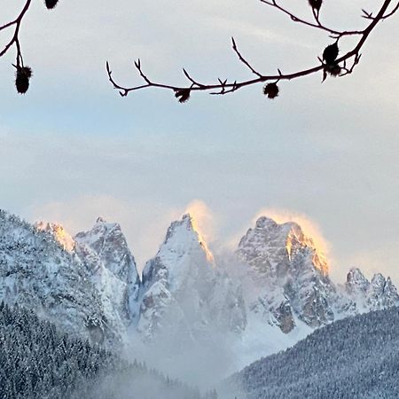 Fra Rose E Mughi Bed & Breakfast Domegge di Cadore Dış mekan fotoğraf
