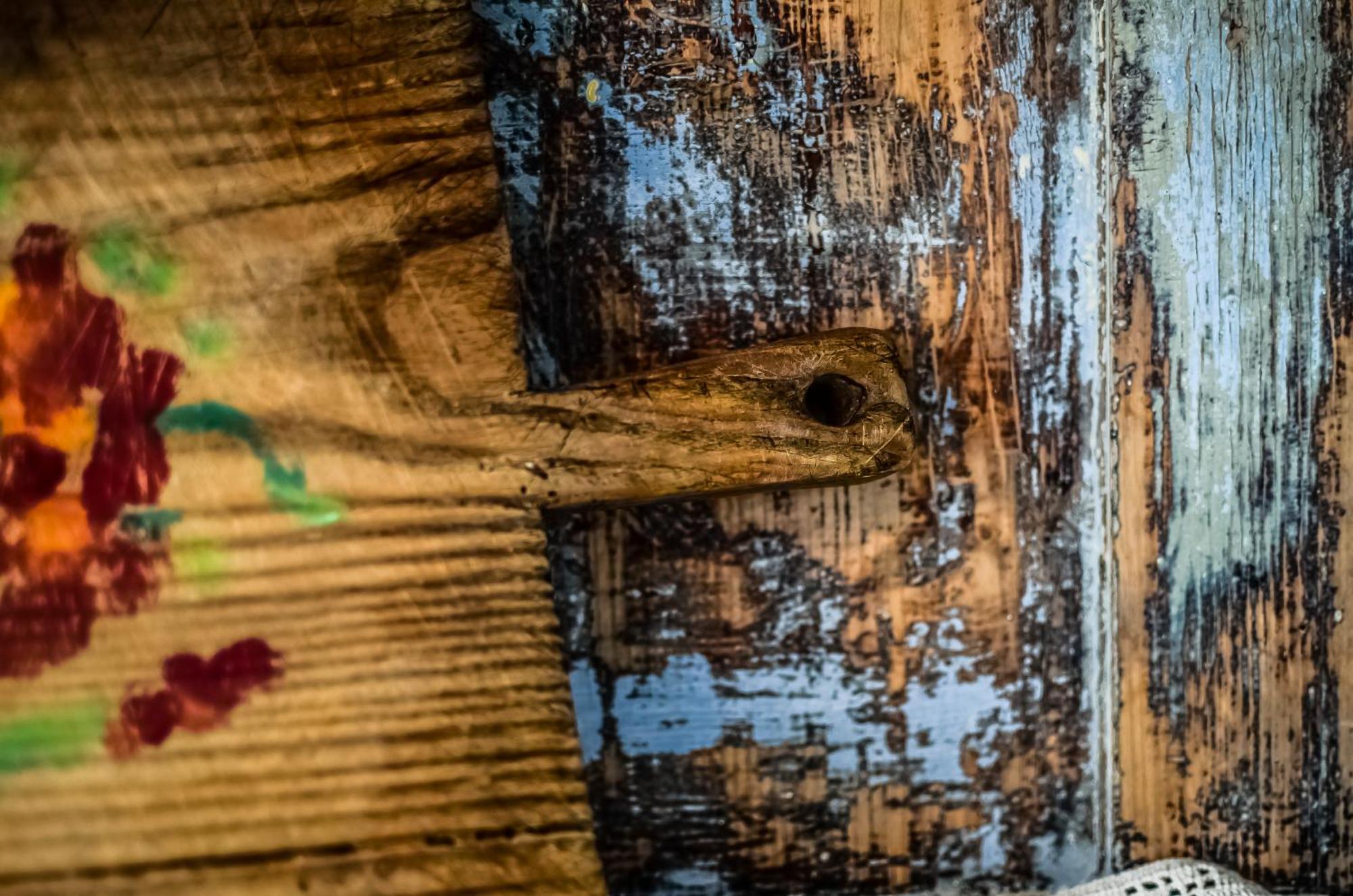 Fra Rose E Mughi Bed & Breakfast Domegge di Cadore Dış mekan fotoğraf