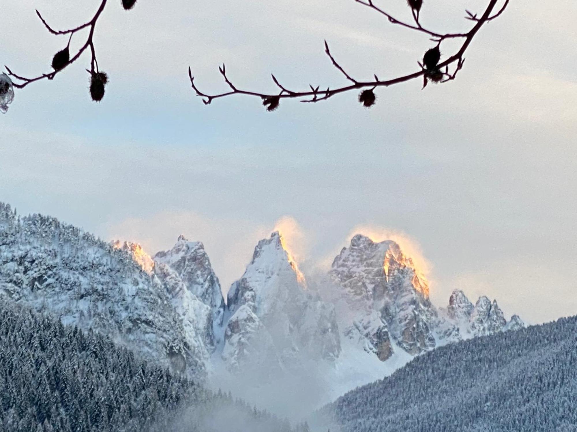Fra Rose E Mughi Bed & Breakfast Domegge di Cadore Dış mekan fotoğraf