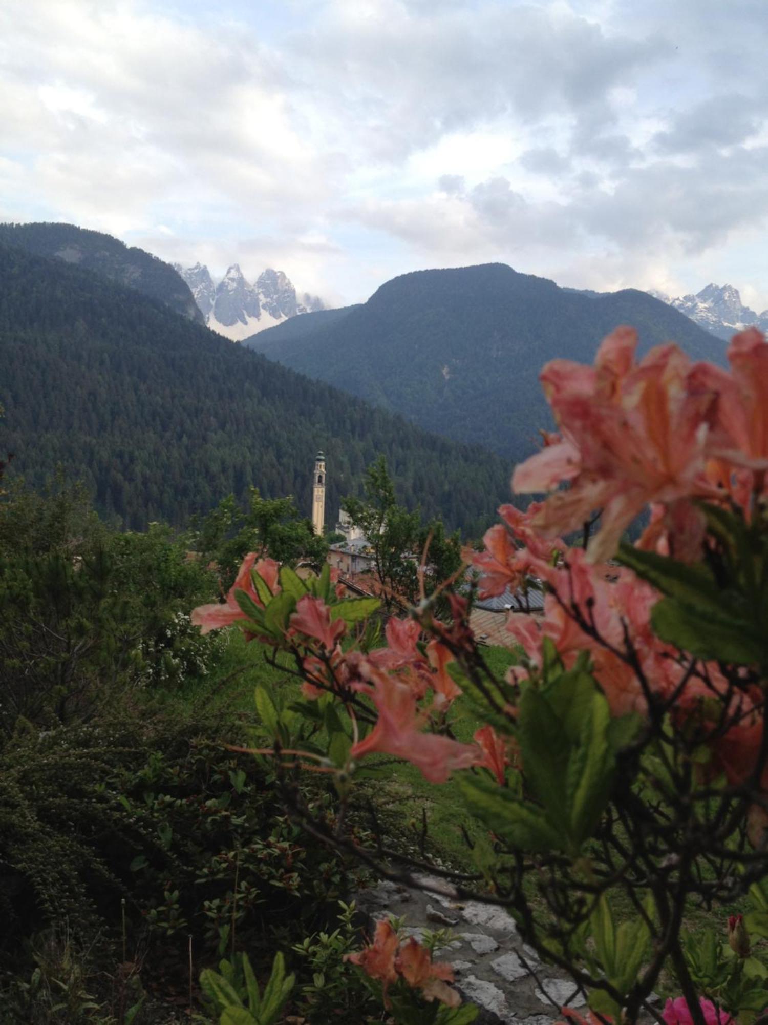 Fra Rose E Mughi Bed & Breakfast Domegge di Cadore Dış mekan fotoğraf