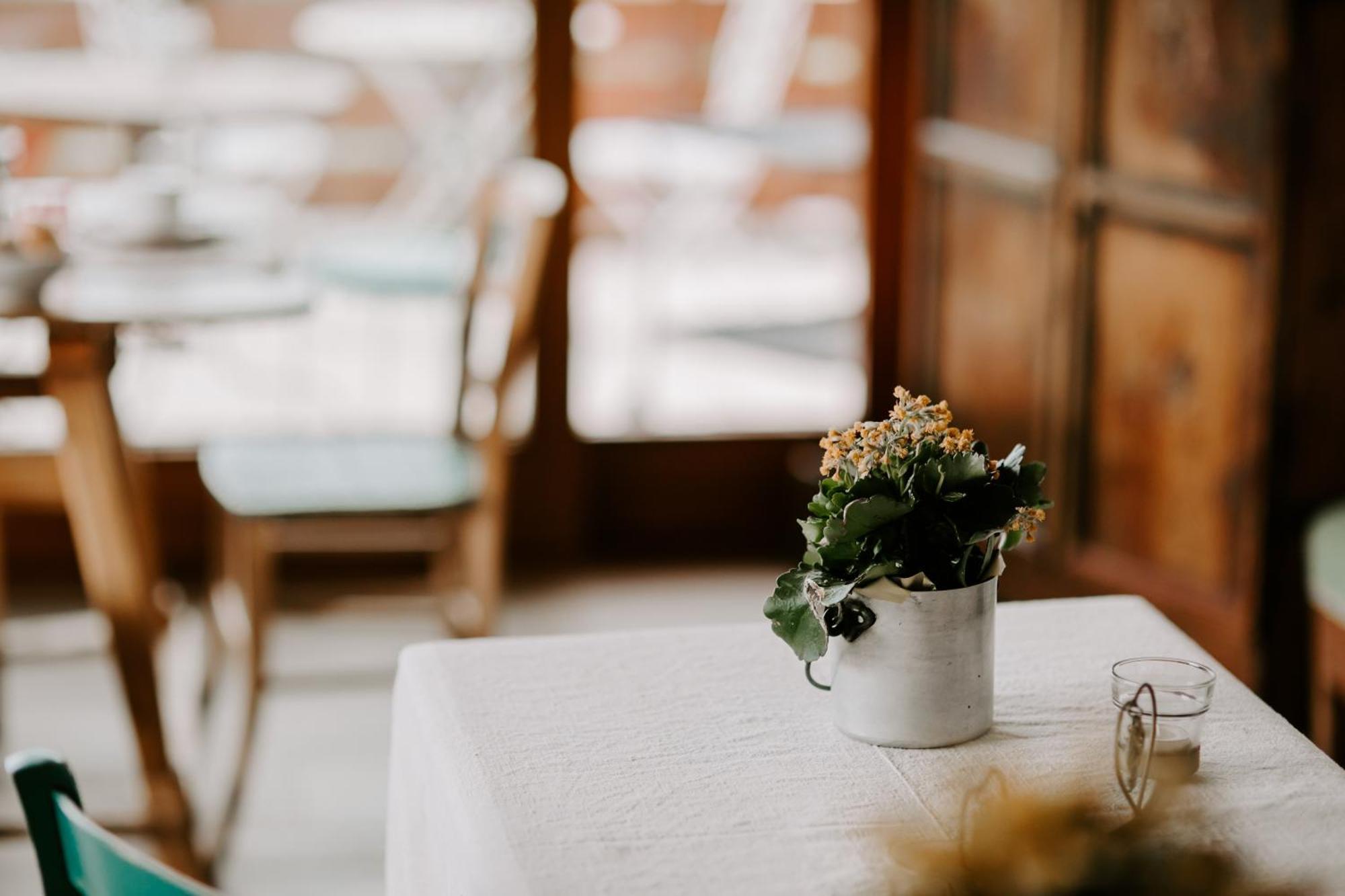 Fra Rose E Mughi Bed & Breakfast Domegge di Cadore Dış mekan fotoğraf