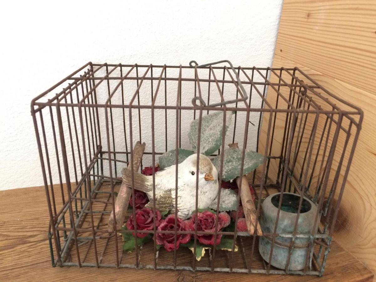 Fra Rose E Mughi Bed & Breakfast Domegge di Cadore Dış mekan fotoğraf